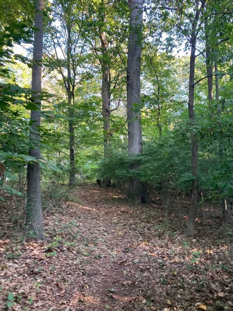 Walking Trails and a Sensory Path for All Visitors Walking Trails and a Sensory Path for All Visitors