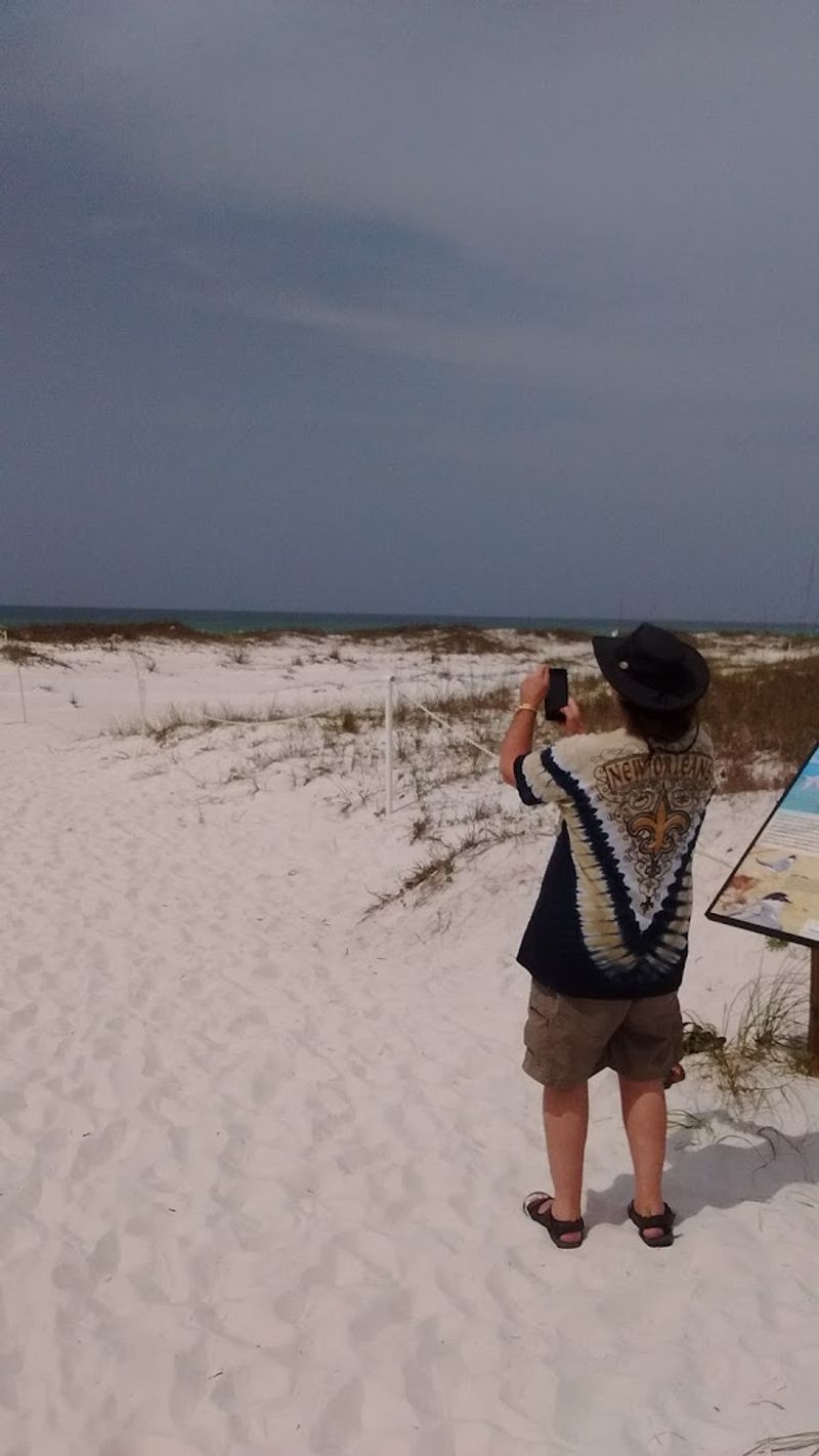 Watching Military Jets Take Off and Land Nearby