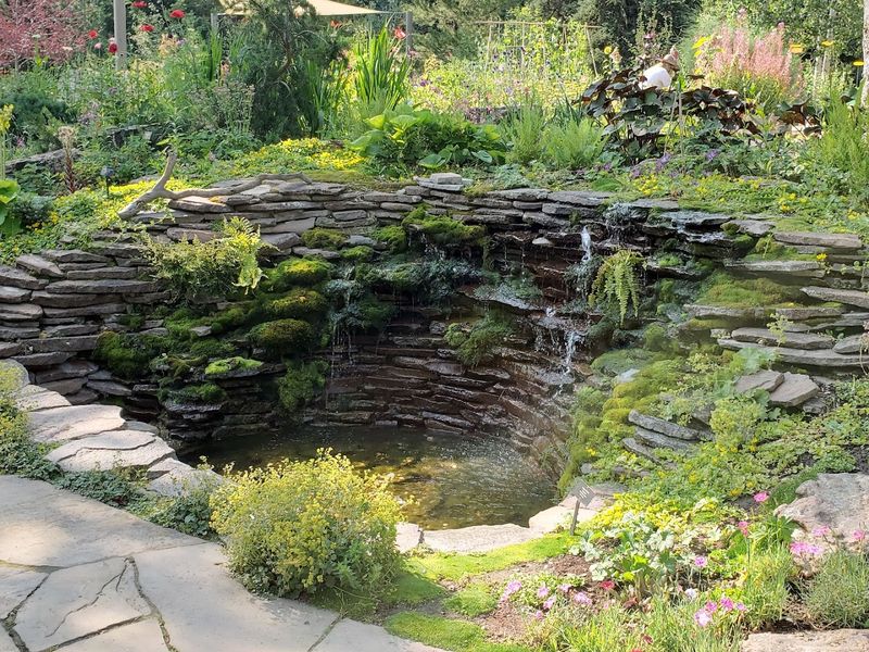Water Features That Soothe the Soul
