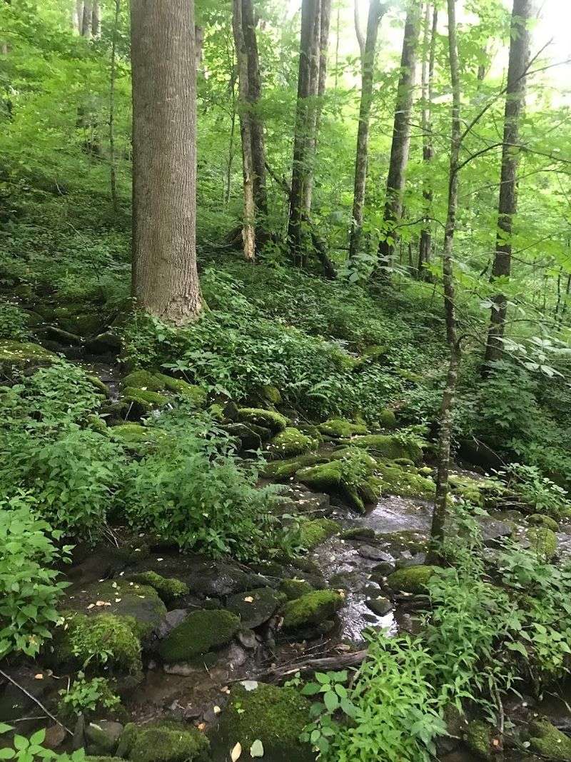 Water Sources on the Ridge Trails: Plan Carefully