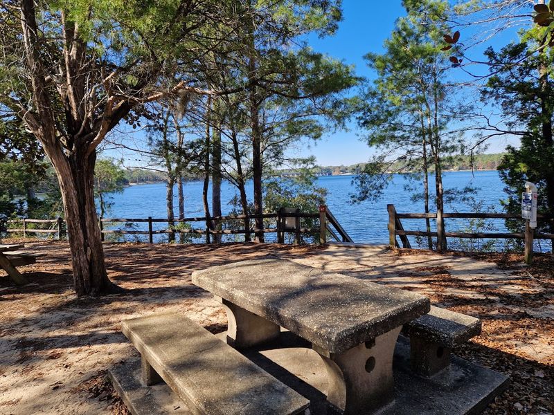 Waterfront Picnic Tables With Stunning Bayou Views