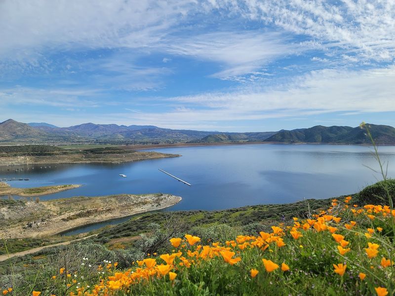 Weather That Saves You Money Year-Round