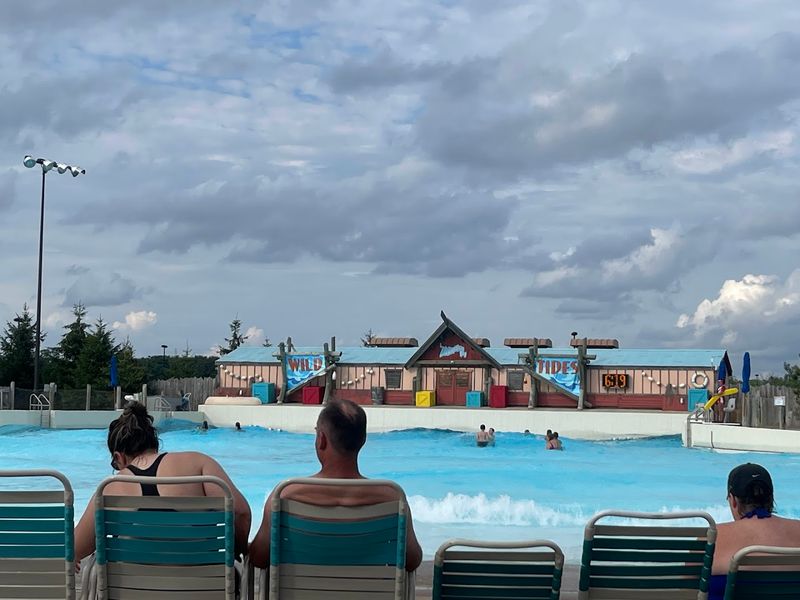 Weekday Visits vs. Weekend Crowds: What to Expect