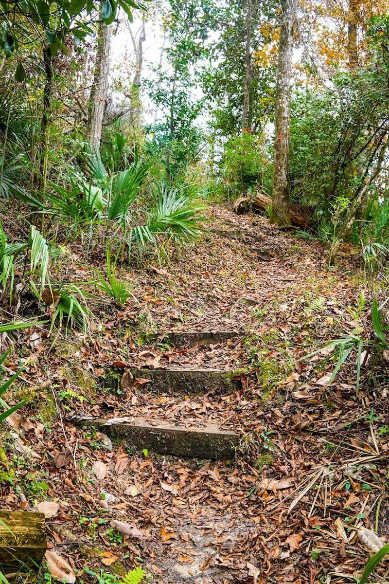 Weeping Ridge Trail and the Surprising Florida Waterfall Weeping Ridge Trail and the Surprising Florida Waterfall