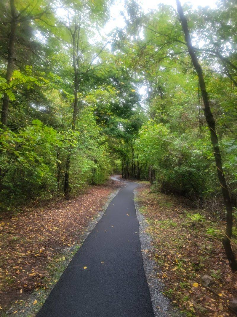 Well-Marked Walking Trails for Every Skill Level