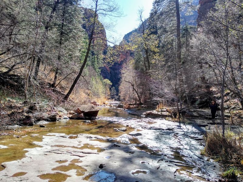 West Fork Trail - Oak Creek Canyon, Arizona
