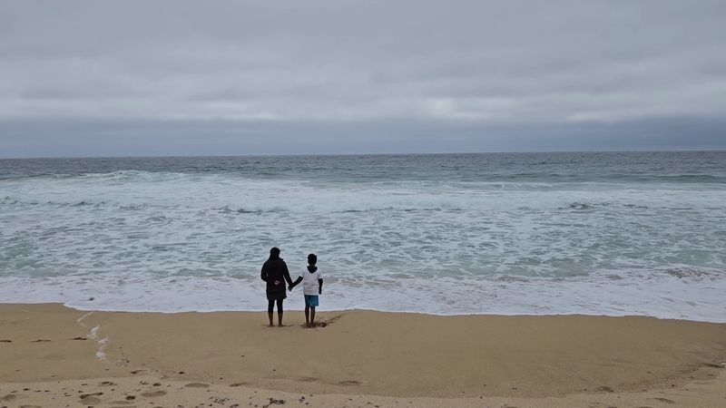 Whale Watching Right From The Shore