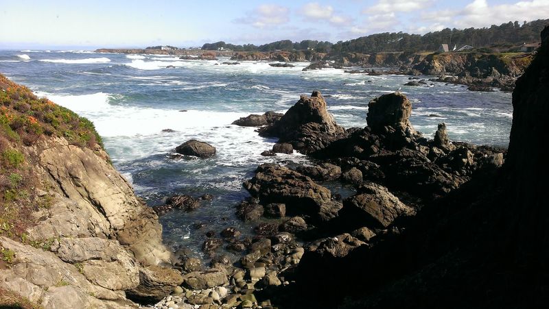 Whale Watching: Witnessing Giants of the Pacific Whale Watching: Witnessing Giants of the Pacific