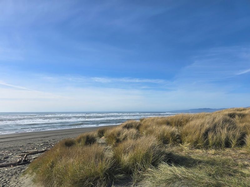 Whale Watching from the Dunes