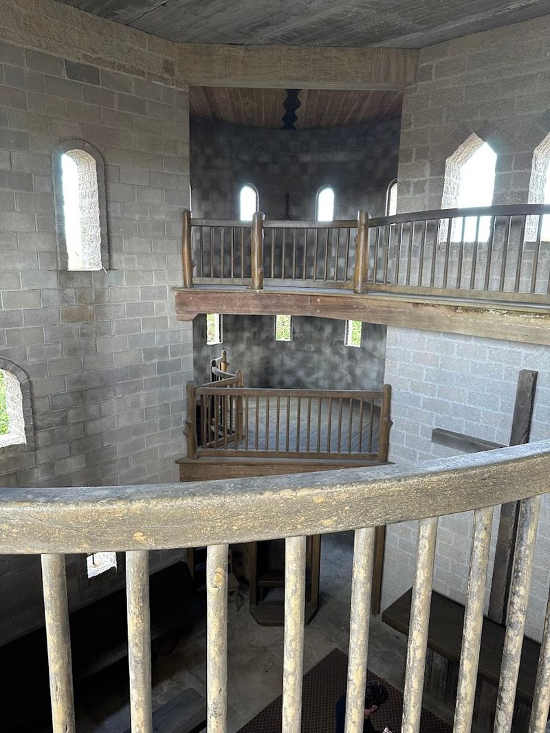 What Exactly Is Castle Otttis and Why Does It Look So Different