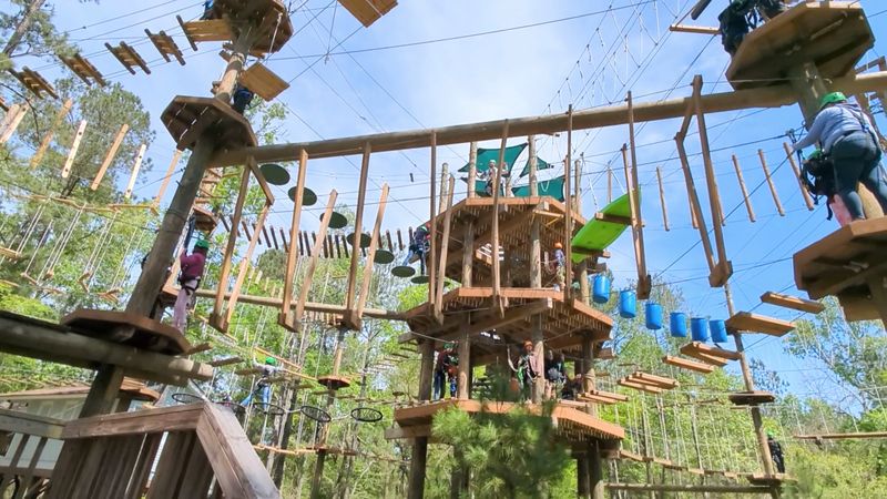 What Is Texas TreeVentures All About