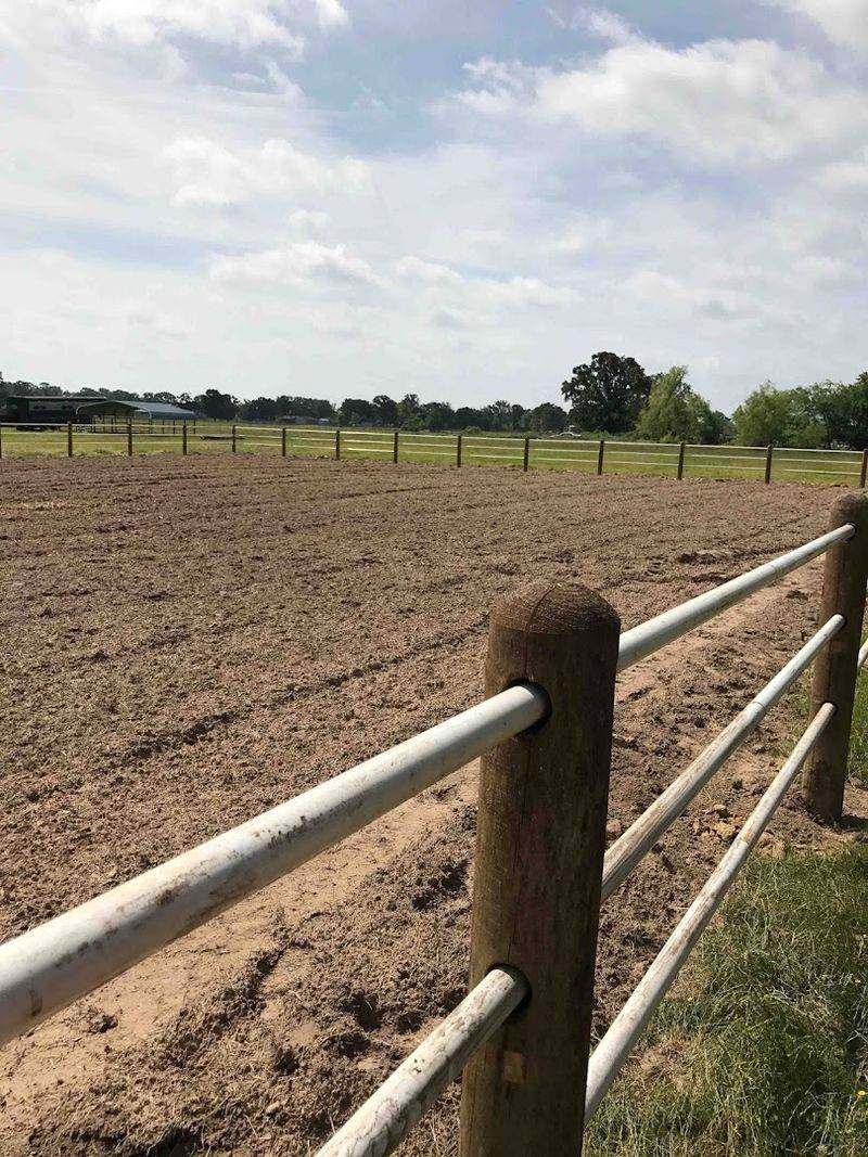 What Makes Lake Fork Stables a True Hidden Gem
