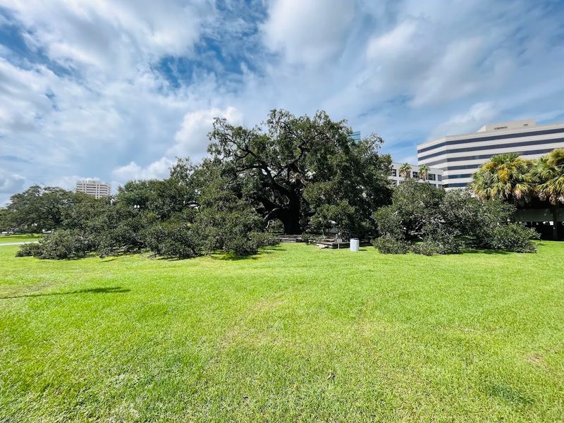 What Makes This One of the Southeast's Greatest Live Oaks What Makes This One of the Southeast's Greatest Live Oaks