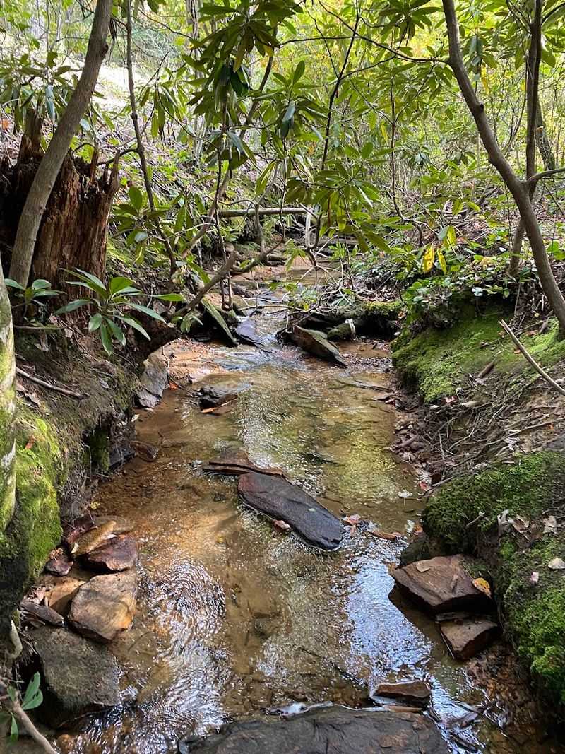 What Wildlife and Nature You Might Spot Along the Way What Wildlife and Nature You Might Spot Along the Way