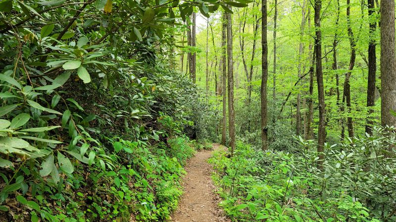 What the 1.8-Mile Round Trip Trail Is Actually Like