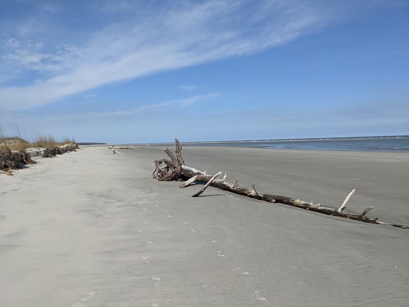 What the Shoreline Actually Looks Like Up Close
