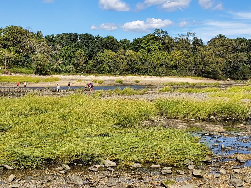 What to Bring for the Perfect Welwyn Preserve Visit