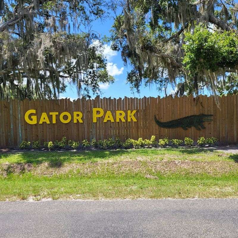 What to Expect When You Book a Night Tour at Wild Florida
