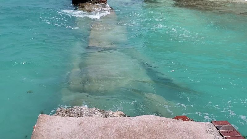What to Pack for Your Fort Jefferson Day Trip What to Pack for Your Fort Jefferson Day Trip