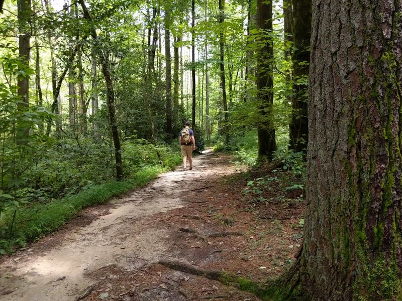 What to Pack for a Comfortable Hike What to Pack for a Comfortable Hike