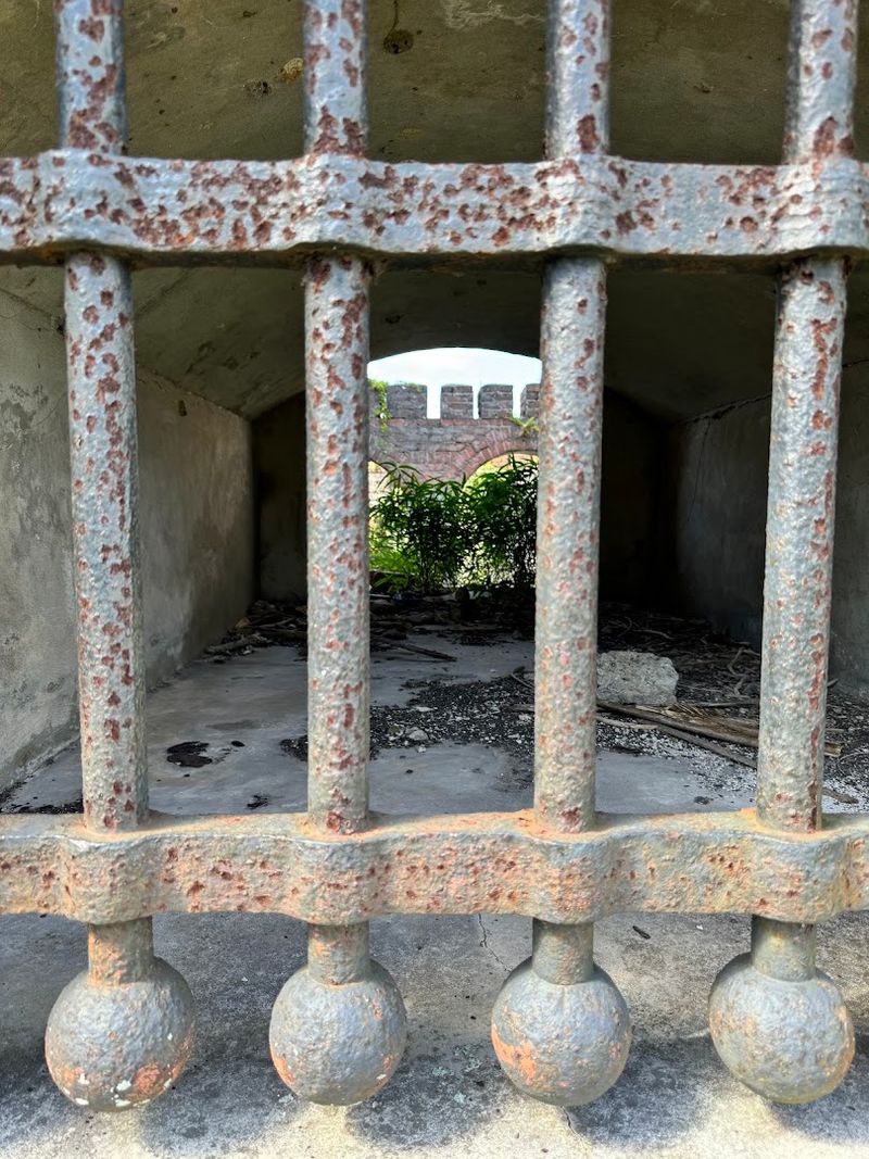 What to Pack for a Day on Cumberland Island