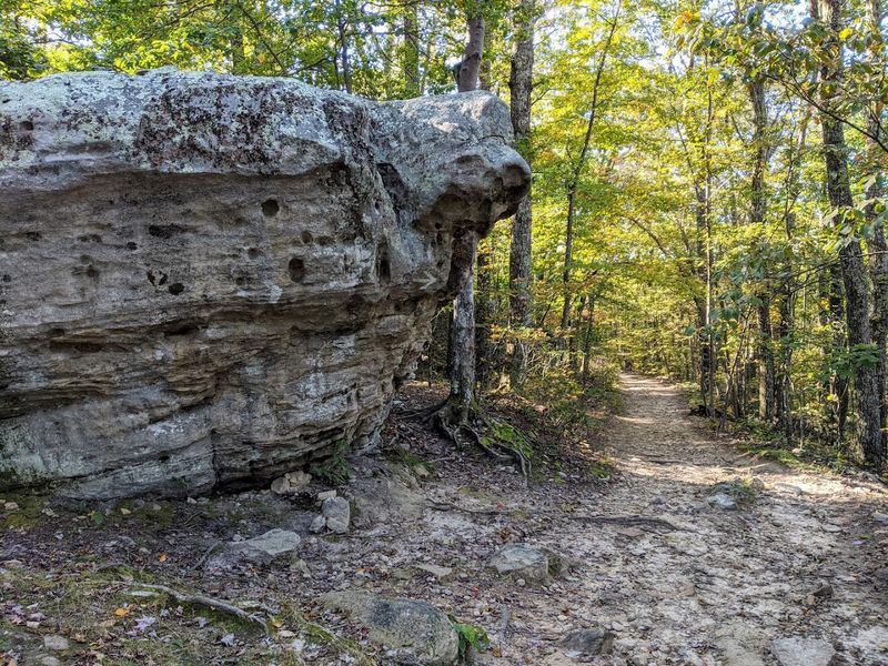 What to Pack for a Successful Day on the Trail