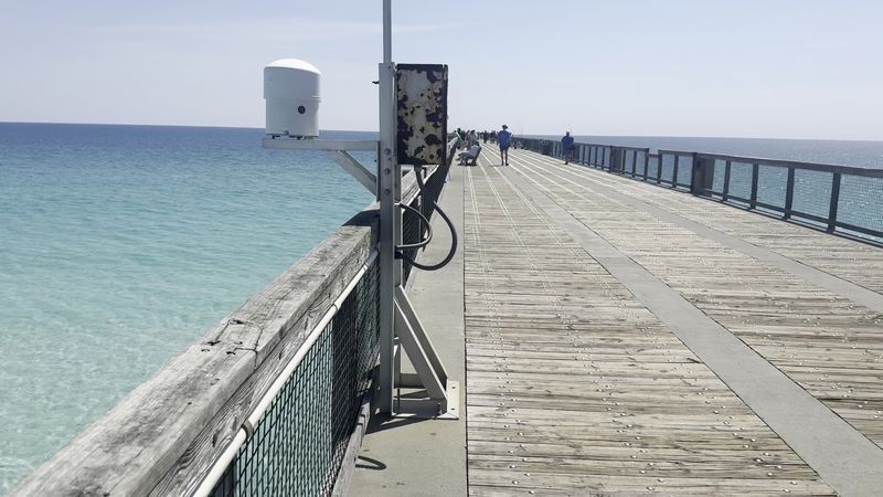 Wheelchair and Disability Accessibility