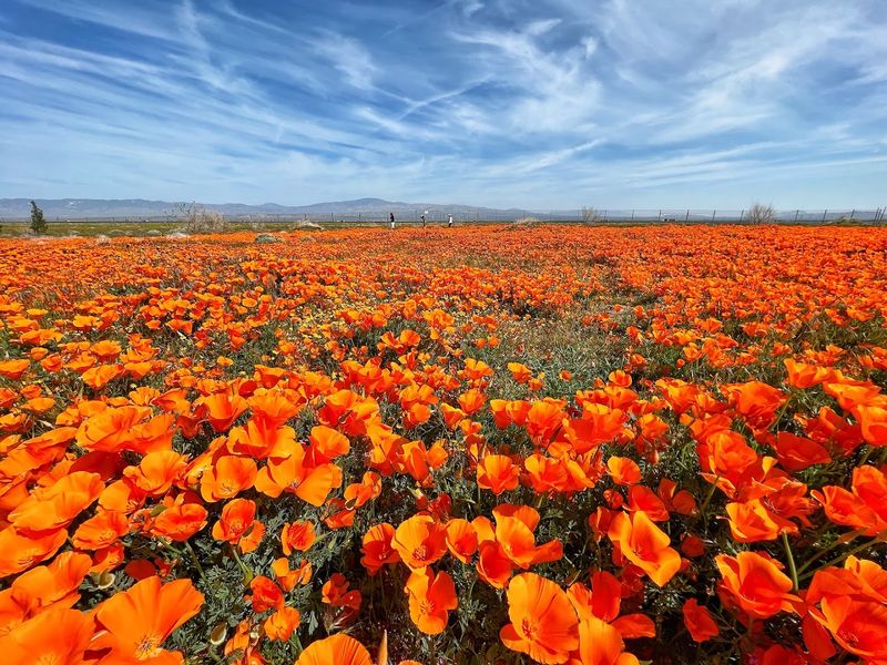 When To Visit For The Most Stunning Views When To Visit For The Most Stunning Views