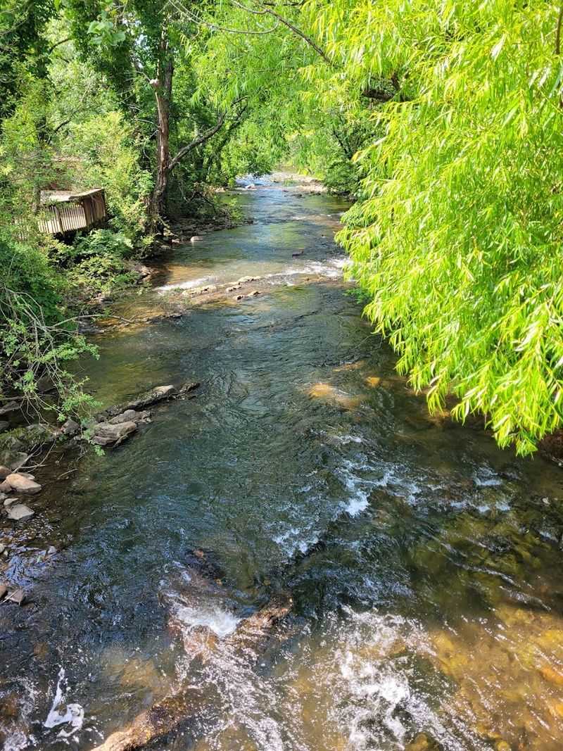 Whitetop Laurel Creek: Where the Water Steals the Show Whitetop Laurel Creek: Where the Water Steals the Show
