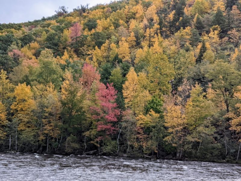 Whitewater Rafting on the Lehigh River Whitewater Rafting on the Lehigh River