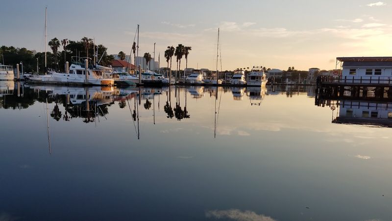 Why Bayshore Blvd Belongs on Every Florida Bucket List