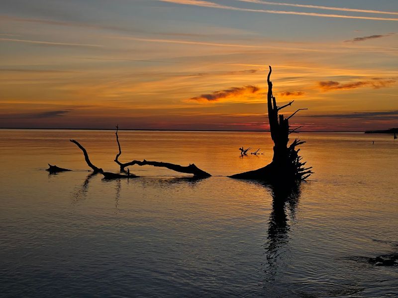 Why Boneyard Beach Feels Like Another World Entirely