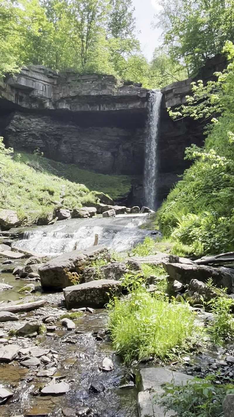 Why Carpenter Falls Deserves a Spot on Your Bucket List
