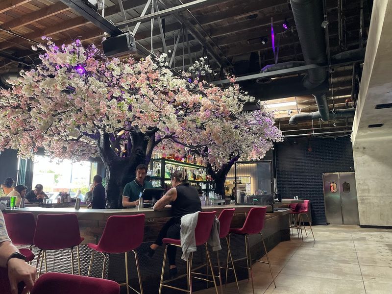 Why Cloak and Petal Keeps Earning Five-Star Praise