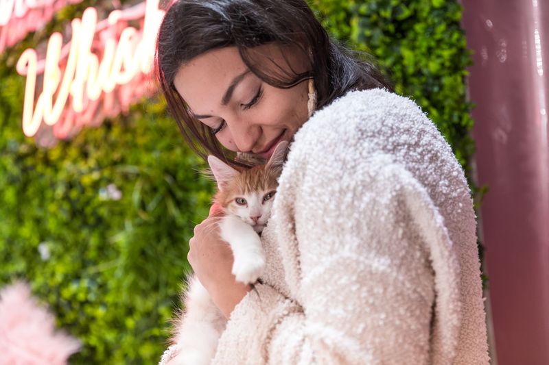 Why Crumbs and Whiskers Stands Out Among All LA Cat Cafes