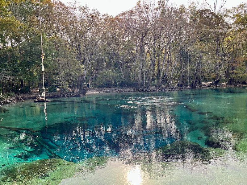 Why Cypress Spring Deserves a Spot on Your Florida Bucket List