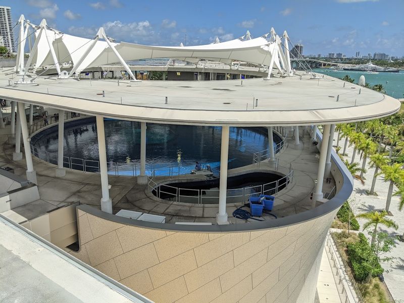 Why Frost Science Is a Must-Visit in Miami Why Frost Science Is a Must-Visit in Miami