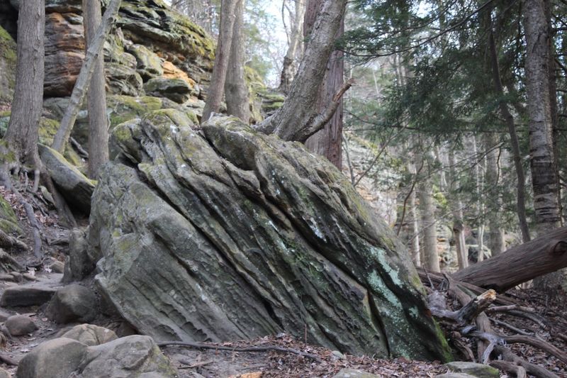 Why Hikers Keep Coming Back to Pine Grove Trail Head Why Hikers Keep Coming Back to Pine Grove Trail Head