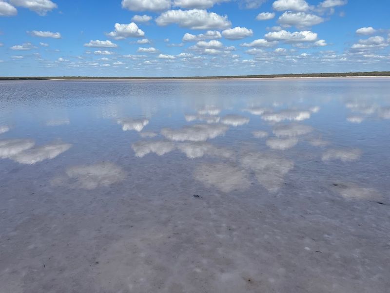 Why La Sal Del Rey Belongs on Your Texas Bucket List