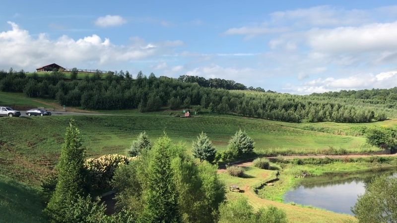 Why Mercier Orchards Is a Must-Visit Destination in North Georgia