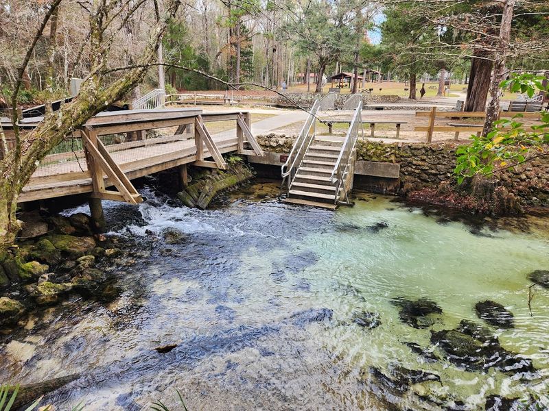Why Ponce De Leon Deserves A Spot On Your Florida Bucket List