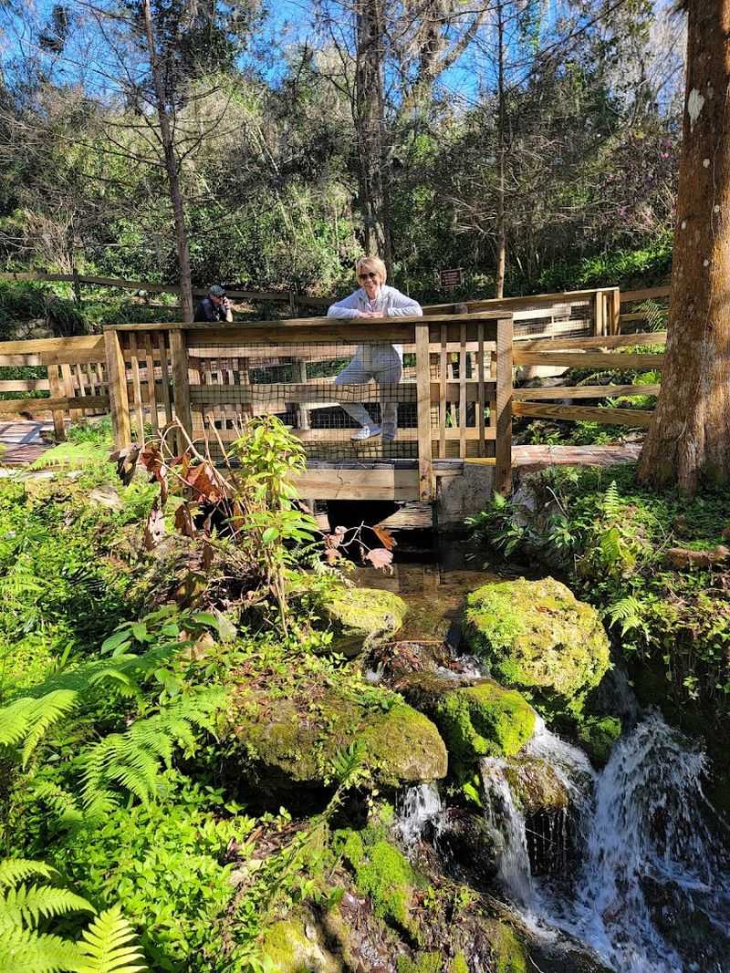 Why Rainbow Springs State Park Deserves a Spot on Your Bucket List Why Rainbow Springs State Park Deserves a Spot on Your Bucket List