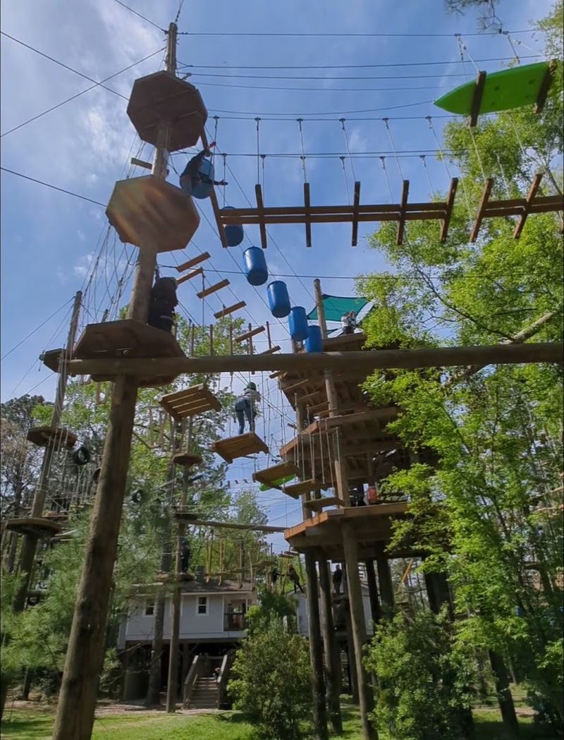 Why Texas TreeVentures Keeps People Coming Back
