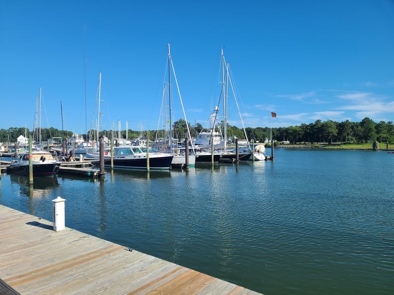 Why The Shanty Keeps Visitors Coming Back Trip After Trip