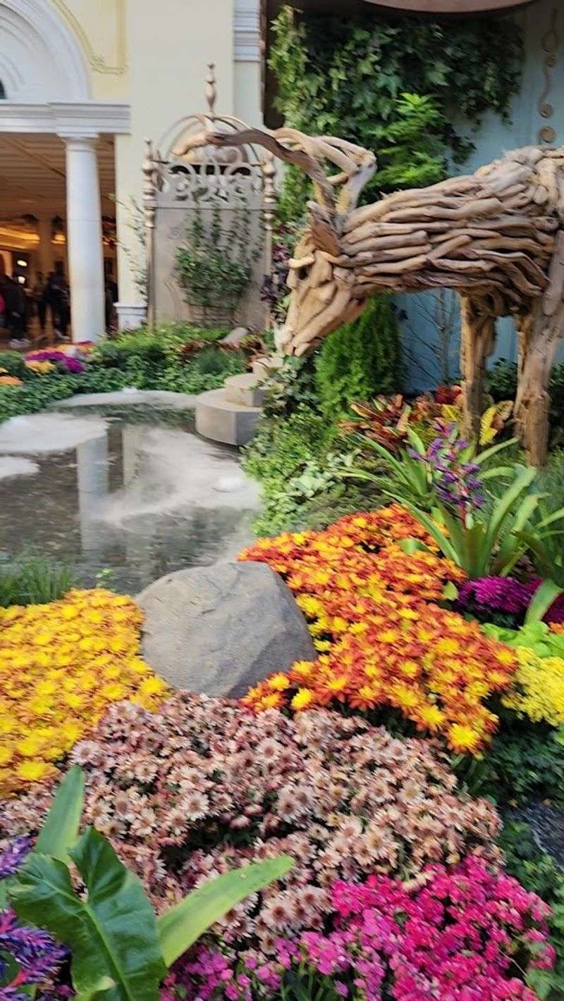 Why This Botanical Garden Belongs on Every Vegas Itinerary
