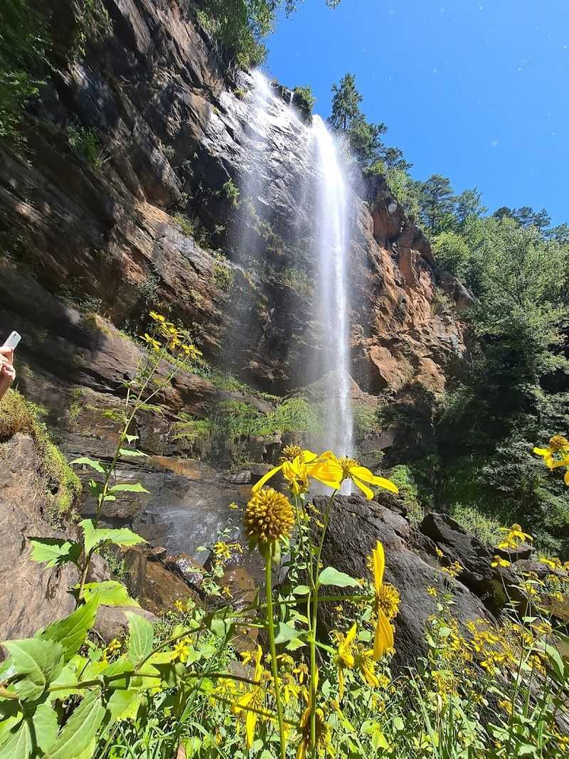 Why This Hidden Gem Deserves a Spot on Every Georgia Bucket List