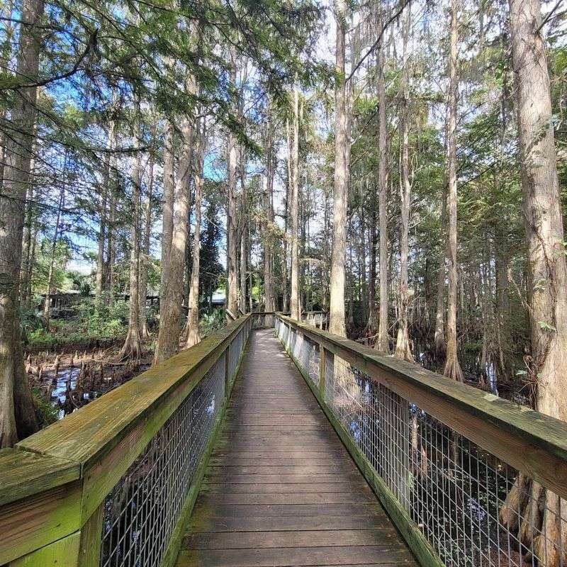 Why This Location in Kenansville Makes Night Tours Extra Special
