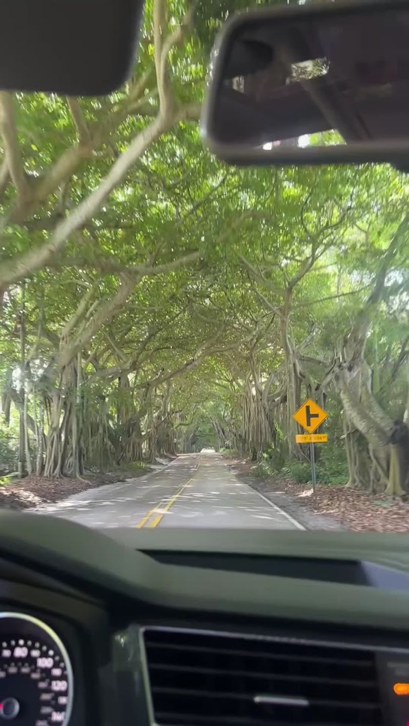 Why This Spot Feels Like Entering Another World Why This Spot Feels Like Entering Another World