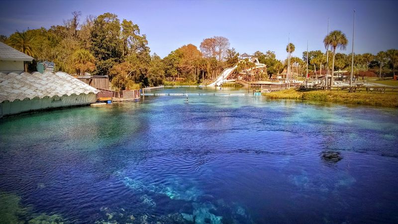 Why Weeki Wachee Springs Belongs on Your Florida Bucket List