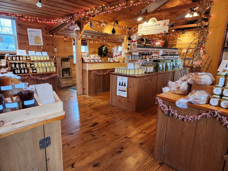Why the Green Dragon Market Keeps Earning Five-Star Raves